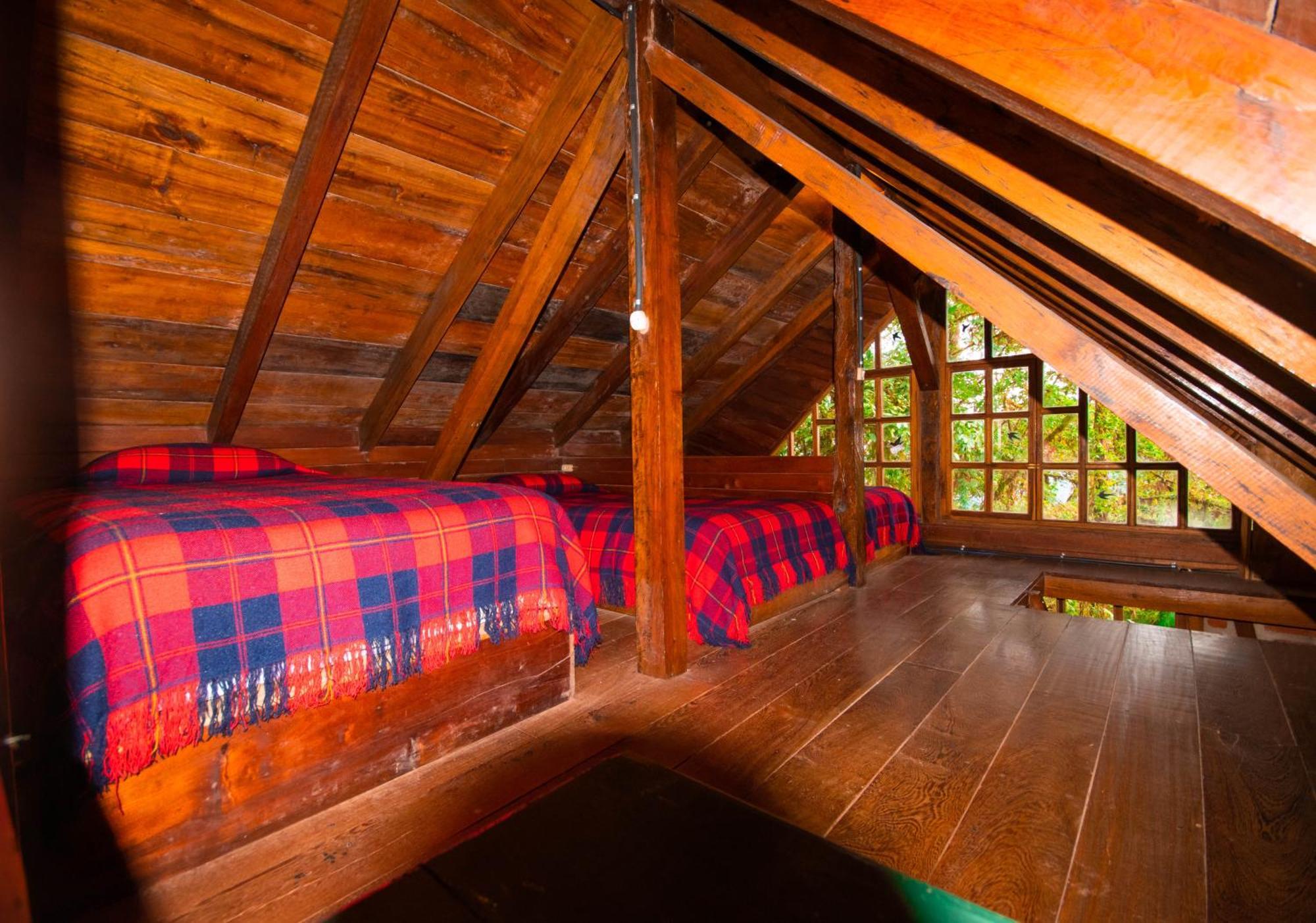 Bellavista Cloud Forest Lodge Tandayapa Extérieur photo
