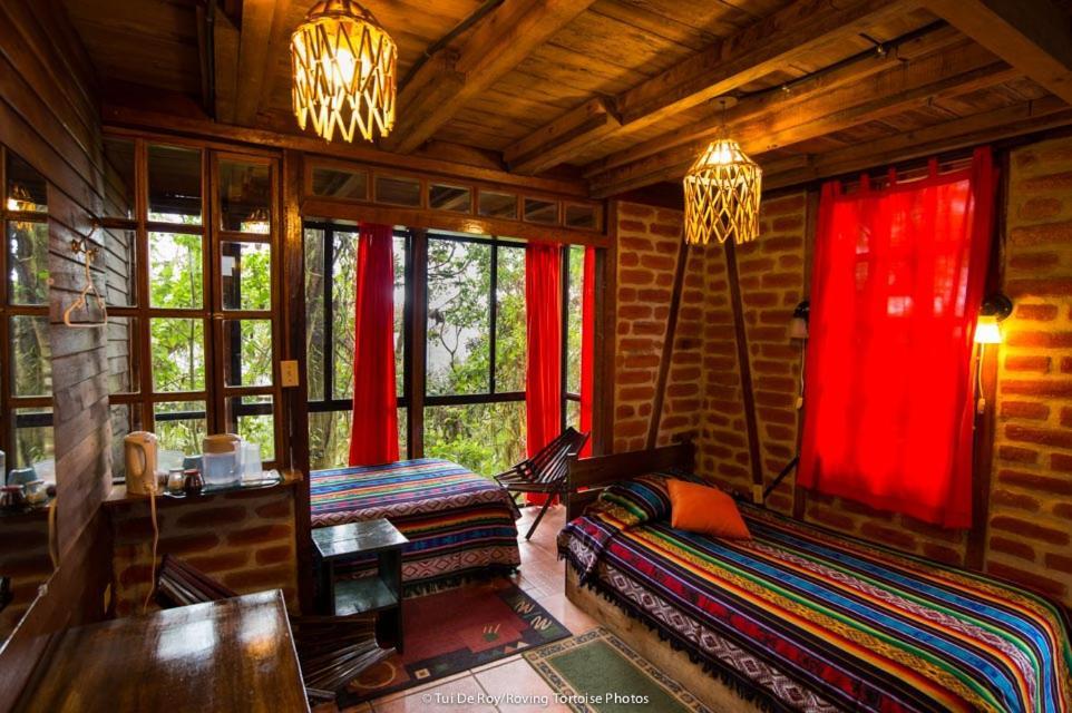 Bellavista Cloud Forest Lodge Tandayapa Extérieur photo