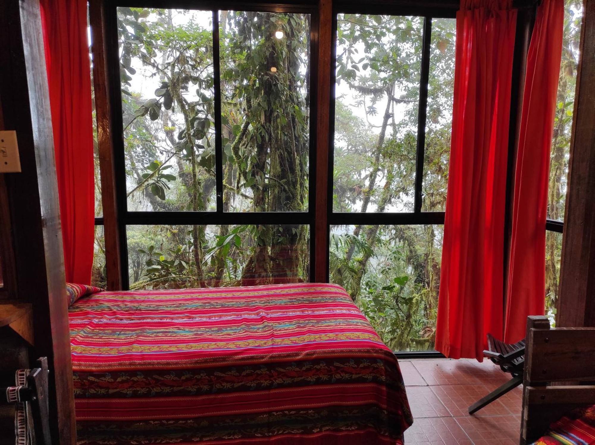 Bellavista Cloud Forest Lodge Tandayapa Extérieur photo